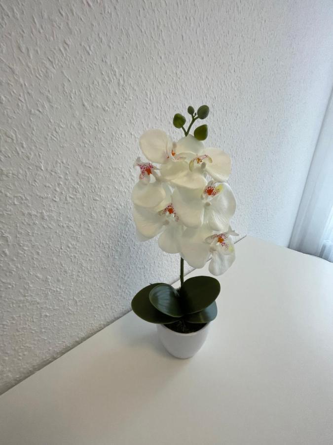 Lucky Stays Ls07 - Vollausstattung - Zentrum - Aufzug - Grosse Kueche - 2 Zimmer - Smart-Tv Magdeburg Exteriör bild