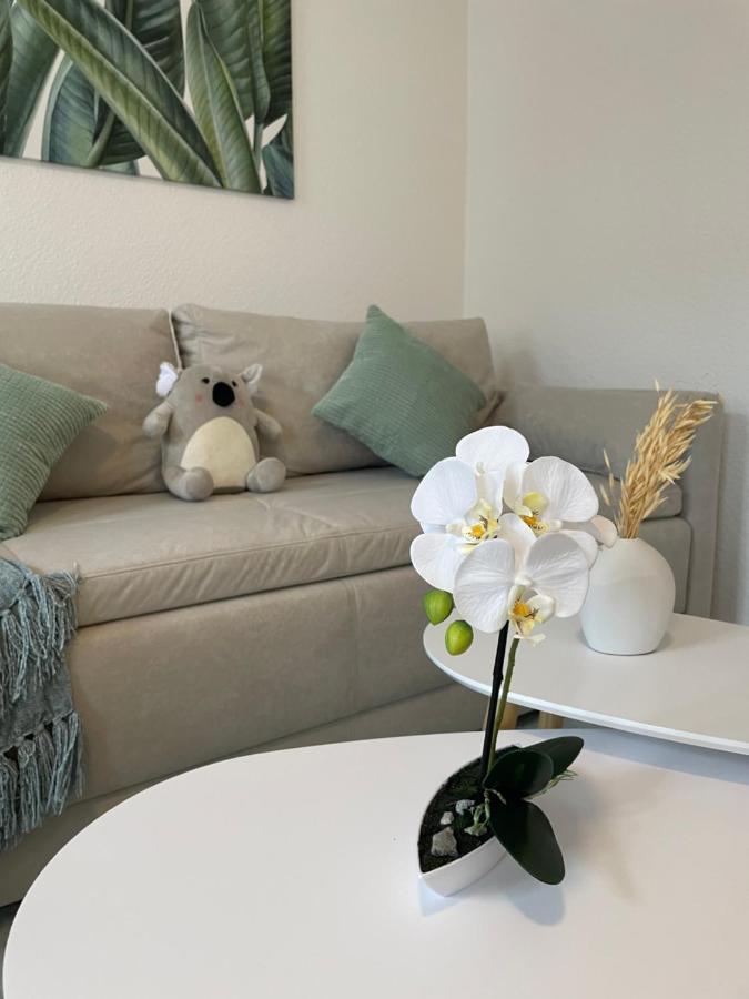 Lucky Stays Ls07 - Vollausstattung - Zentrum - Aufzug - Grosse Kueche - 2 Zimmer - Smart-Tv Magdeburg Exteriör bild